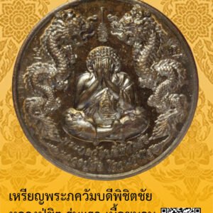 ID:65100894