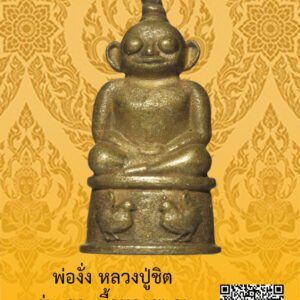 IID:65102999